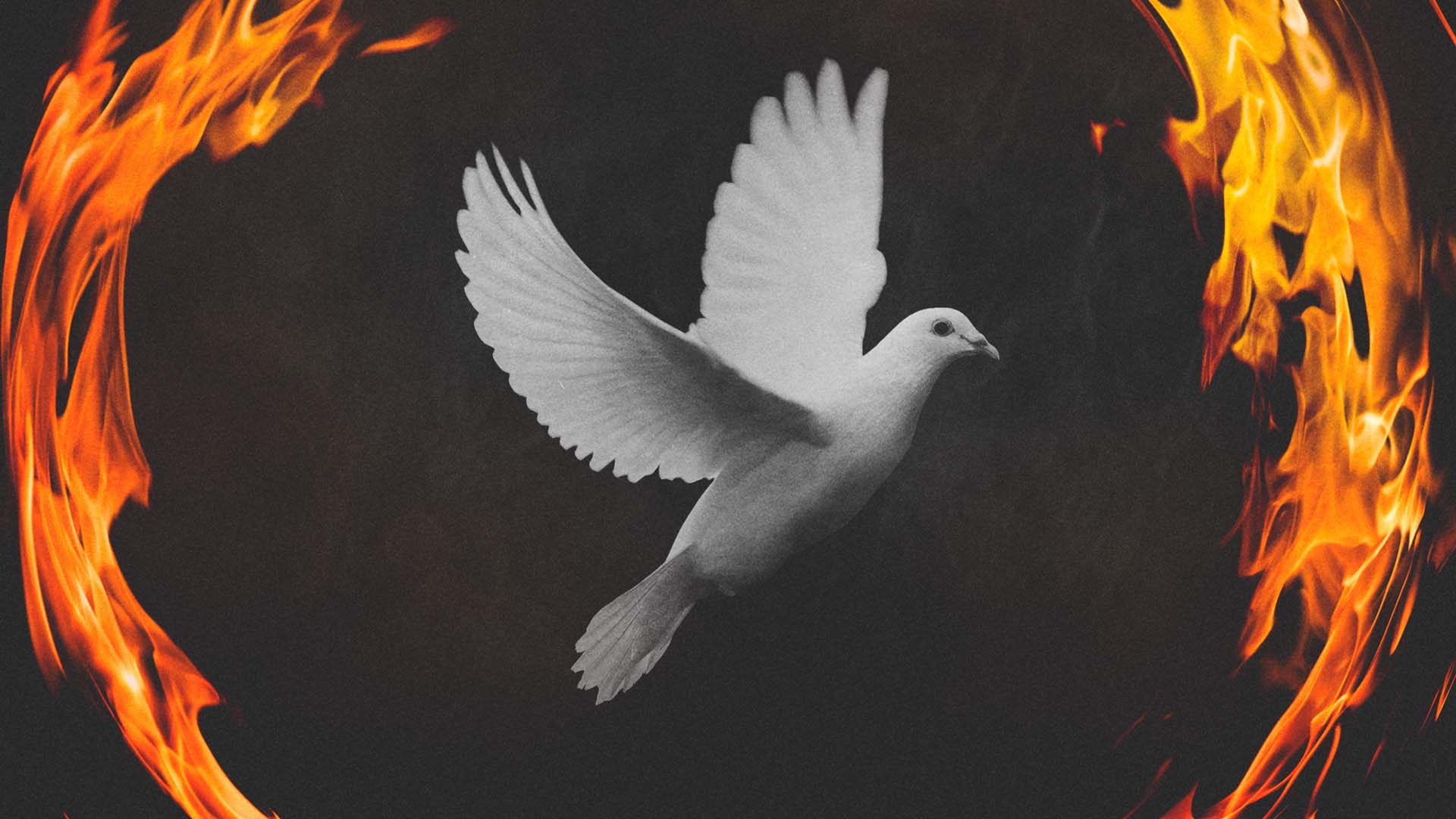 Featured image for “The Baptism with the Holy Ghost”