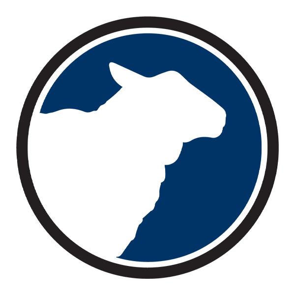Image for Assembly Band Movement